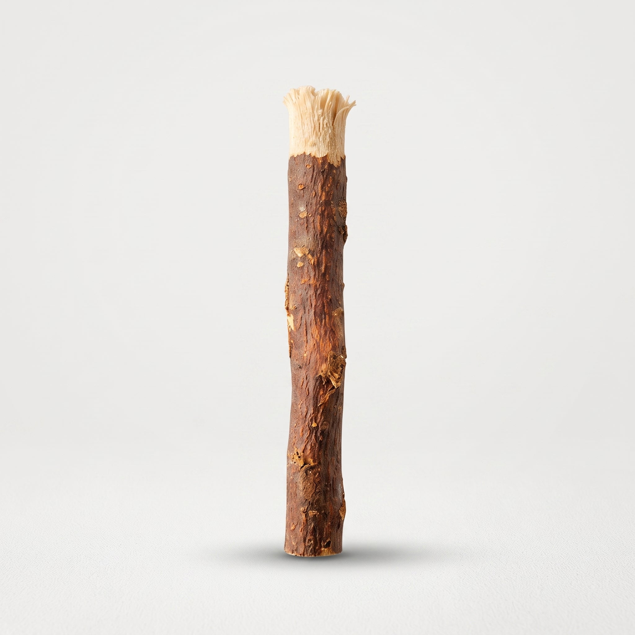 Pure Peelu Tree Miswak for Oral Hygiene – Sunnah Approved
